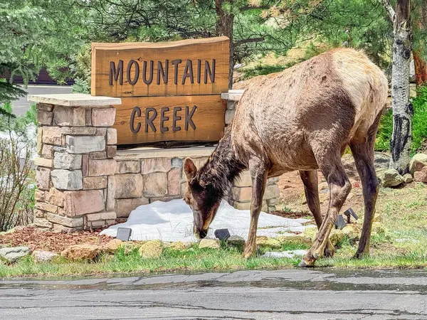 262 Steamer, Estes Park, CO 80517