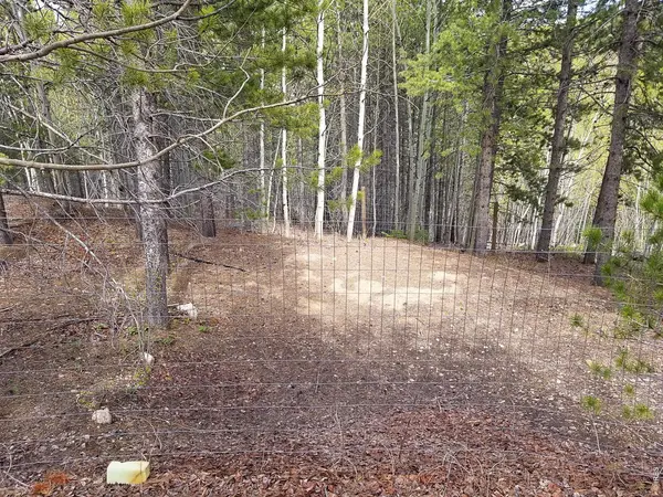 3200 Ottawa, Red Feather Lakes, CO 80545