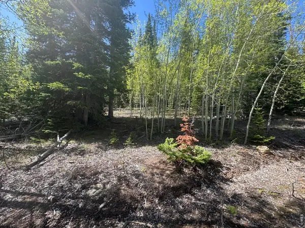 44 Wilderness, Walden, CO 80480