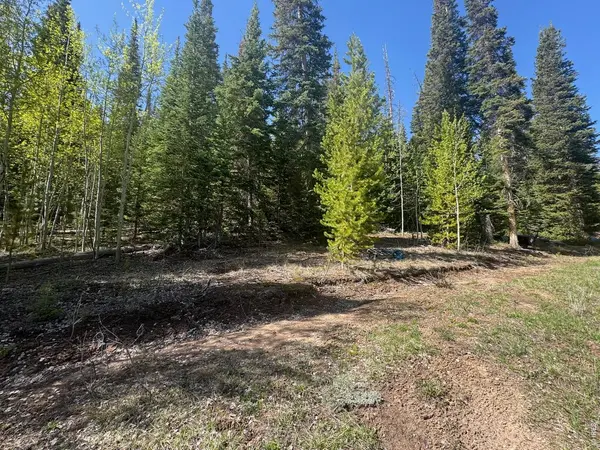 44 Wilderness, Walden, CO 80480