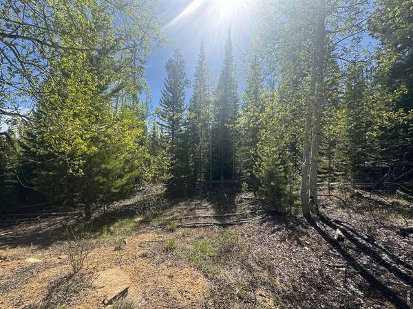 44 Wilderness, Walden, CO 80480