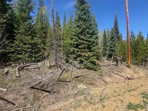 44 Wilderness, Walden, CO 80480