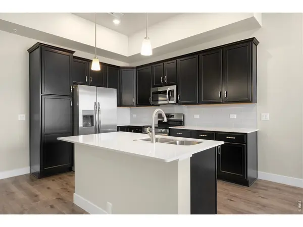 6793 Maple Leaf #201, Timnath, CO 80547