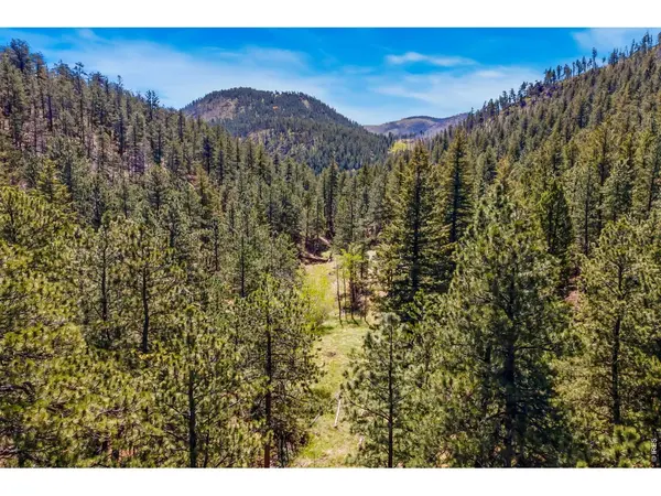 1899 Spring Valley, Bellvue, CO 80512