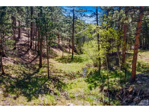 1899 Spring Valley, Bellvue, CO 80512