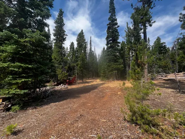 0 Forest Service #169, Red Feather Lakes, CO 80545