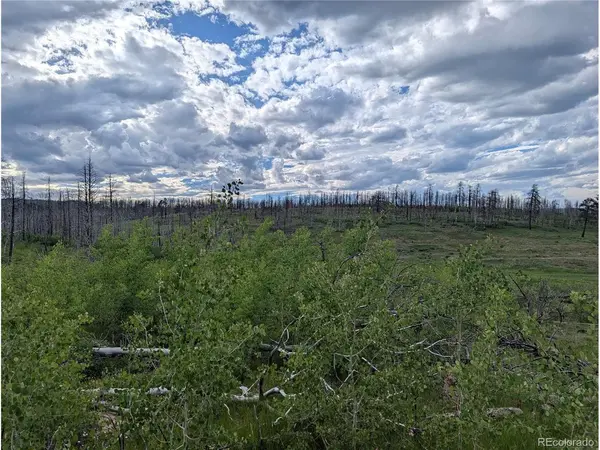 1692 Trimm, Fort Garland, CO 81133
