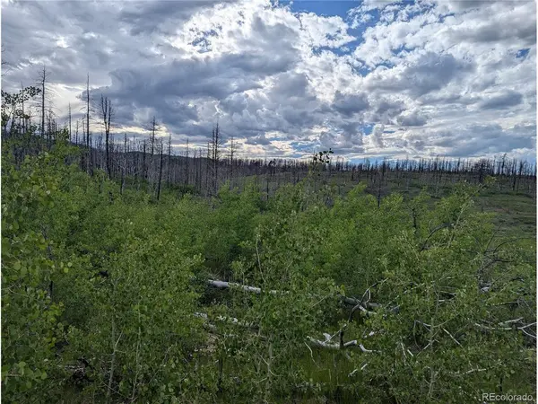 1692 Trimm, Fort Garland, CO 81133