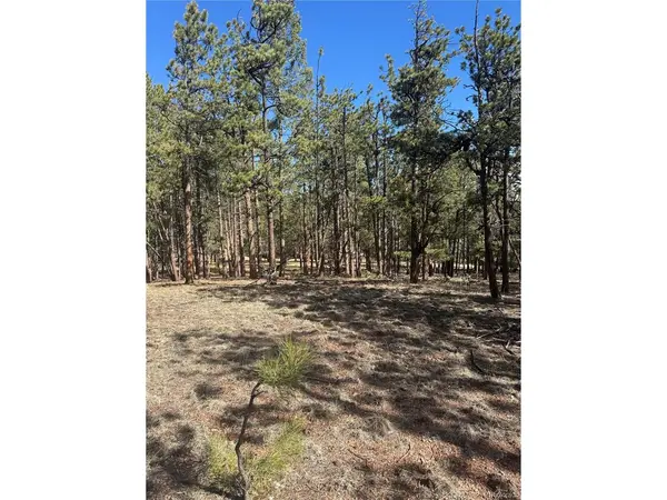 642 Matterhorn, Florissant, CO 80816