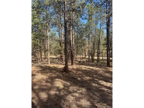 642 Matterhorn, Florissant, CO 80816