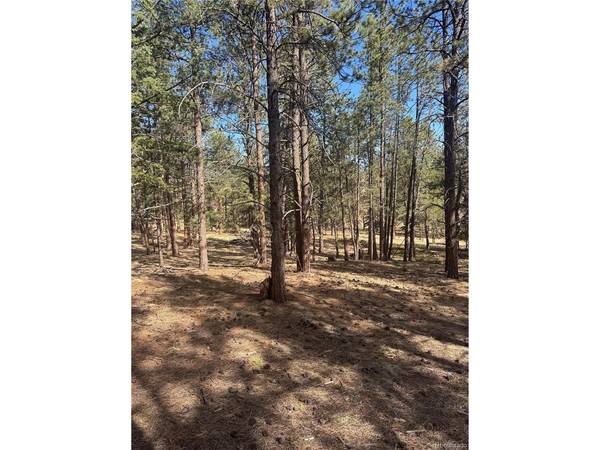 642 Matterhorn, Florissant, CO 80816