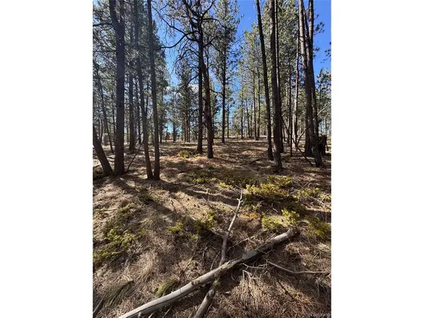 642 Matterhorn, Florissant, CO 80816