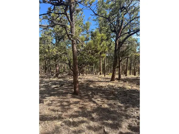 642 Matterhorn, Florissant, CO 80816