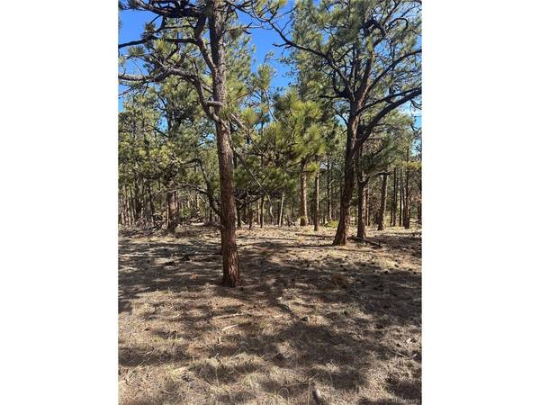 642 Matterhorn, Florissant, CO 80816