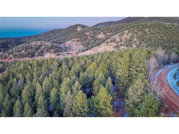 959 Calcite, Divide, CO 80814