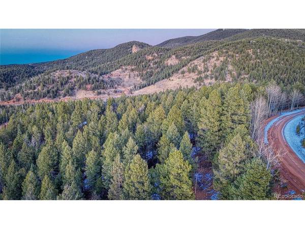 959 Calcite, Divide, CO 80814