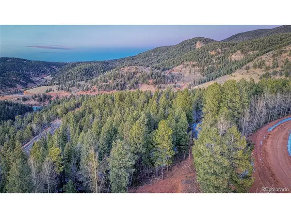 959 Calcite, Divide, CO 80814