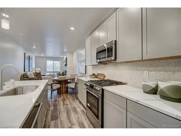 1301 Adams Avenue #119, Silverthorne, CO 80498