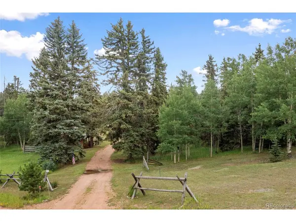 135 Daniwood, Florissant, CO 80816