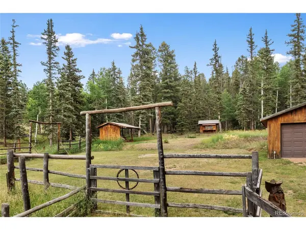 135 Daniwood, Florissant, CO 80816