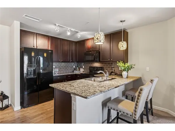 1062 Rockhurst #202, Highlands Ranch, CO 80129
