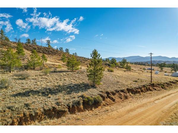 Spring, Hartsel, CO 80449
