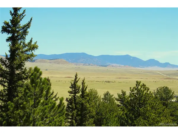 Address not disclosed, Hartsel, CO 80449