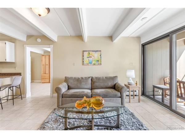 220 E La Bonte #215, Dillon, CO 80435