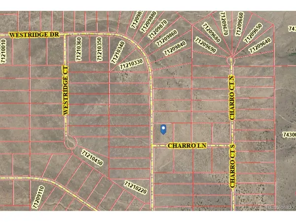 118 Charro Ln, San Luis, CO 81152