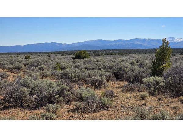 18 Green Tree, San Luis, CO 81152