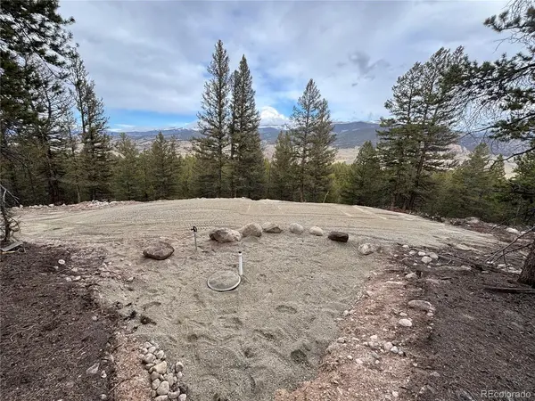 680 Edward East Hill, Twin Lakes, CO 81251