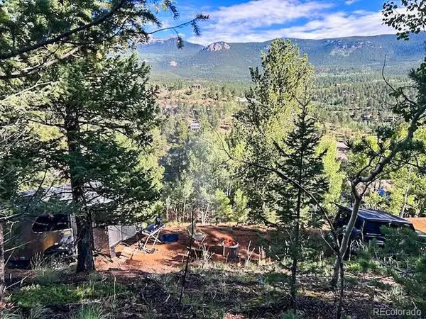272 Wise, Bailey, CO 80421