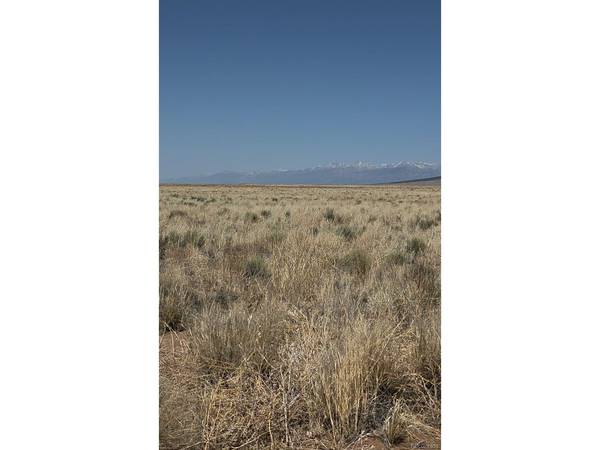 Lot 28 Monte Vista Rd., Blanca, CO 81123