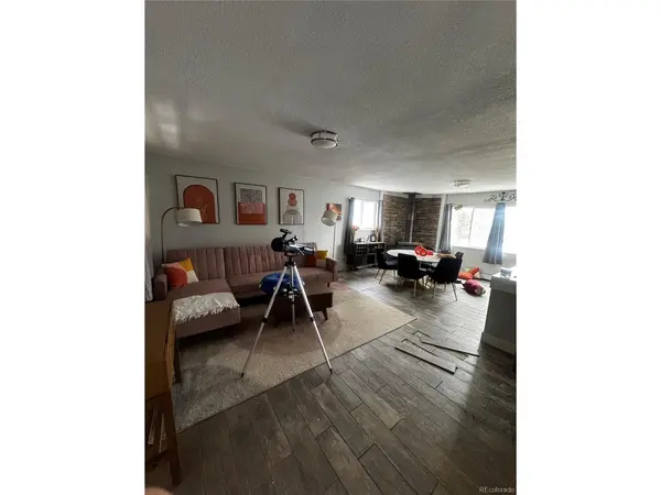 949 S Pine, Bailey, CO 80421