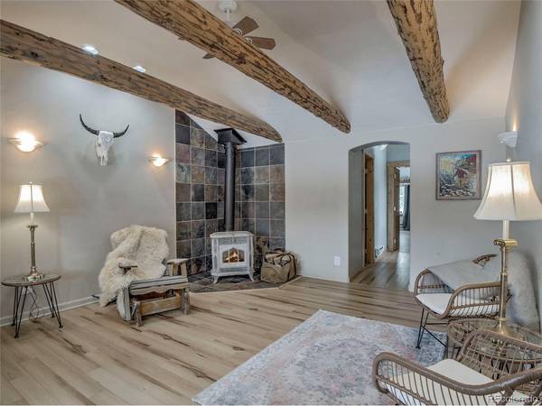 46 Singleton, Alma, CO 80420