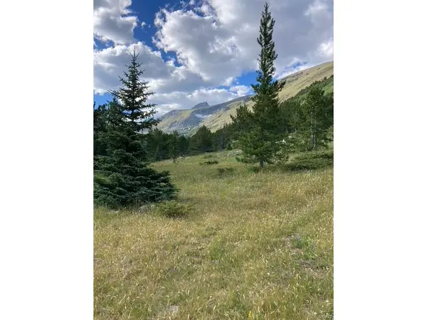 4400 4th of July, Nederland, CO 80466