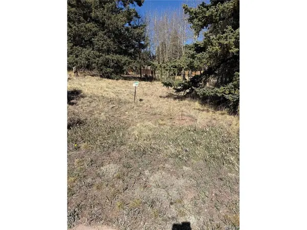 405 Meadow Park, Divide, CO 80814
