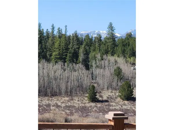 68 Sleepy Grass, Fairplay, CO 80440