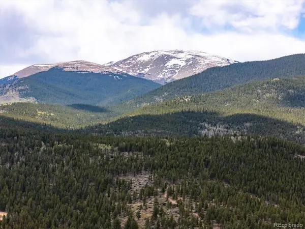 232 Highlands, Bailey, CO 80421