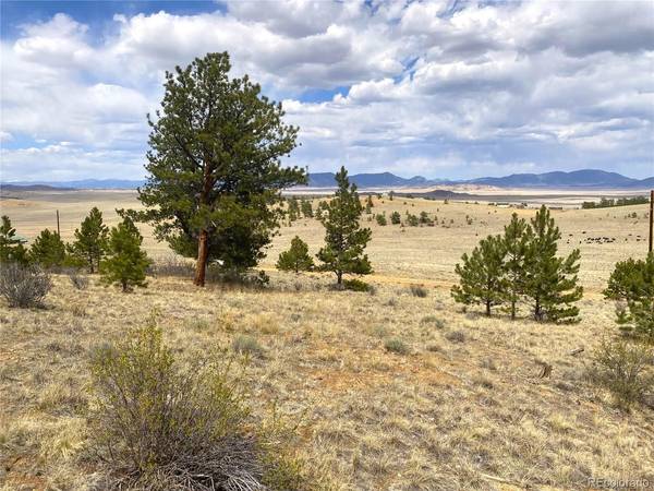 381 Red Cloud, Hartsel, CO 80449