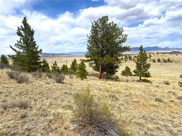 381 Red Cloud, Hartsel, CO 80449