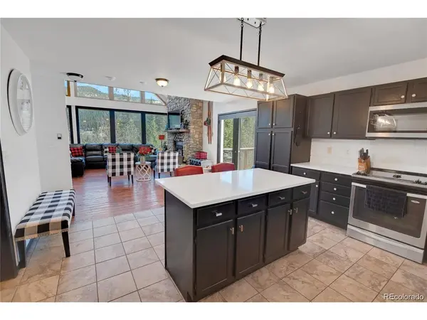 496 Quartzville, Alma, CO 80420