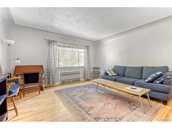 1130 N Pennsylvania #202, Denver, CO 80203