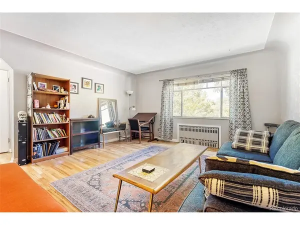 1130 N Pennsylvania #202, Denver, CO 80203