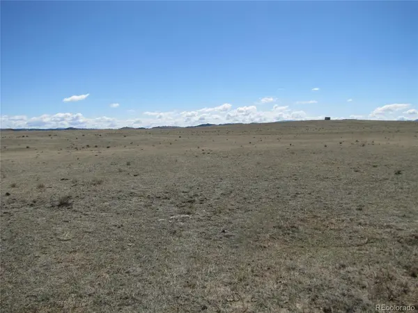 1642 Wasatch, Hartsel, CO 80449