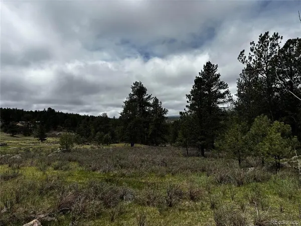 210 Crescent, Florissant, CO 80816