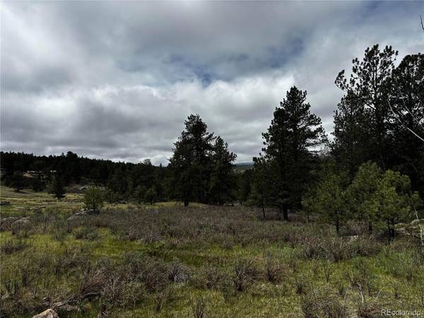 210 Crescent, Florissant, CO 80816