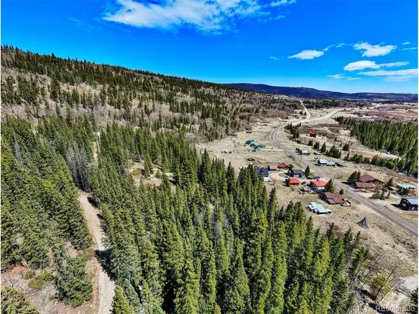 270 Co Rd 667, Fairplay, CO 80440