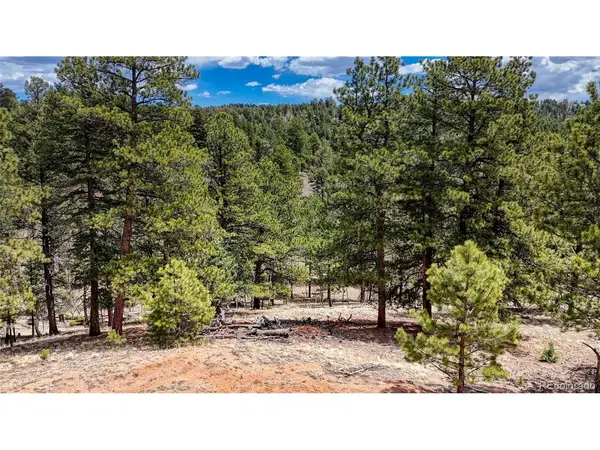 16 View, Florissant, CO 80816
