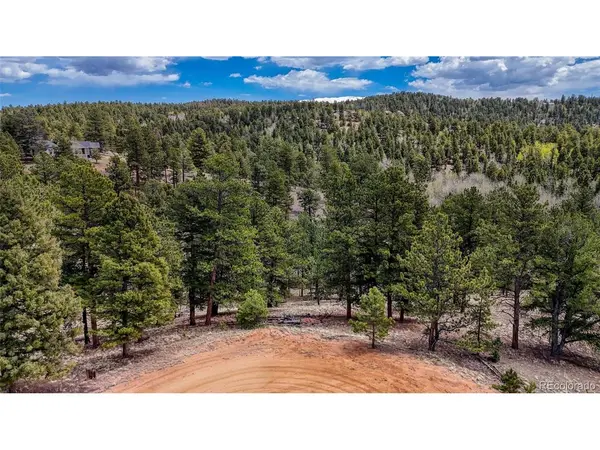 16 View, Florissant, CO 80816